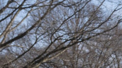 Trump sigue obstinado en la construcción del muro a como de lugar