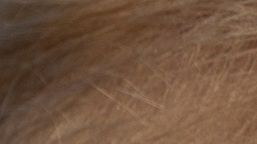 Sin embargo, Trump considera como "la mejor solución" alcanzar un acuerdo con el Congreso para financiar la construcción del muro con México.