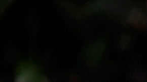 Yalitza Aparicio y Marina De Tavira