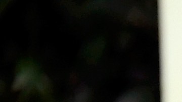 Yalitza Aparicio y Marina De Tavira