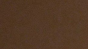 Trump se reunió con jefes de la oposición demócrata en la Casa Blanca después de participar en un almuerzo con congresistas del partido republicano.