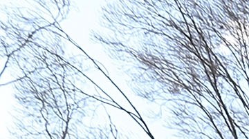 Trabajadores federales se concentraron hoy enfrente de la Casa Blanca para pedir a Trump que reabra la Administración.