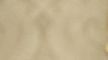 Trump sigue empeñado de conseguir su muro fronterizo cueste lo que cueste