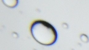 Prepárese para más lluvia en el sur de California.