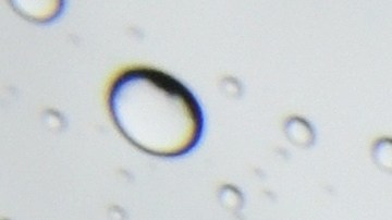 Prepárese para más lluvia en el sur de California.