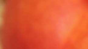 La alerta fue emitida por la Administración de Alimentos y Medicamentos de Estados Unidos (FDA por sus siglas en inglés) el pasado 24 de enero.