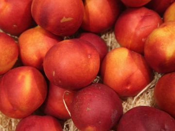 La alerta fue emitida por la Administración de Alimentos y Medicamentos de Estados Unidos (FDA por sus siglas en inglés) el pasado 24 de enero.