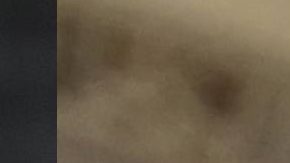 Demócratas le piden a Shultz que no se lance como independiente