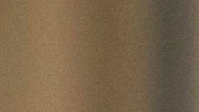 Stone fue acusado por un gran jurado de cinco delitos