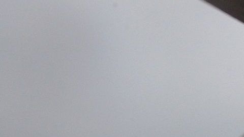 Agencia Reuters afirma que la Administración Trump avanza negociaciones en Afganistán.