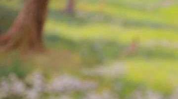 Kim Jong-Un, líder norcoreano.