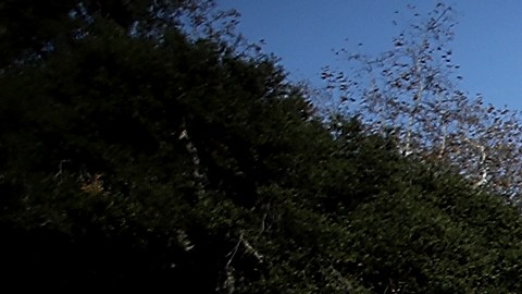 Foto histórica de la avalancha de Montecito ocurrida el 9 de enero del 2018.