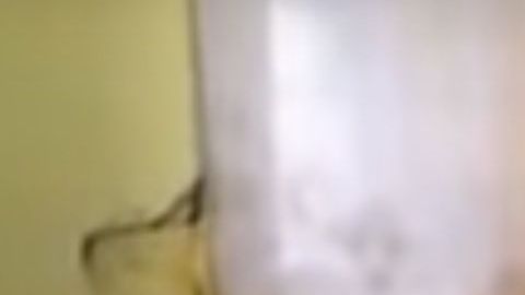 El video circuló en internet desde 2008, pero las autoridades lo integraron como prueba al juicio contra "El Chapo".