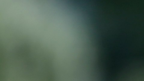 Hirving Lozano estaría en la mira del Arsenal de la Premier League de Inglaterra