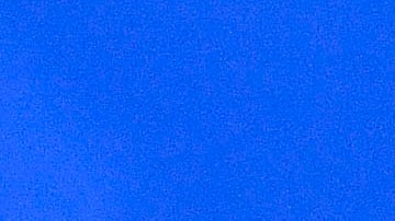 Javier "Chicharito" Hernández es pretendido por el Valencia y el AS Monaco