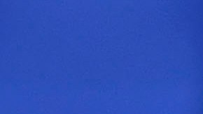 Javier "Chicharito" Hernández no será fichado por el Valencia como se especuló en un principio