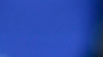 Javier "Chicharito" Hernández no será fichado por el Valencia como se especuló en un principio