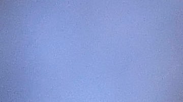 Miguel Layún estaría a unas horas de ser anunciado como nuevo jugador de Rayados de Monterrey