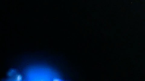 Saúl "Canelo" Álvarez enfrentará al estadounidense Daniel Jacobs el próximo 4 de mayo