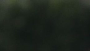 Hirving Lozano se quedará con el PSV Eindhoven al menos hasta el final de temporada