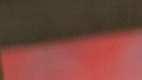 Stephen Eustáquio resultó lesionado y será baja seis meses para el Cruz Azul.