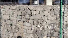 Jugadores del Cruz Azul, entrenan de cara a la jornada 5 del torneo Clausura 2019 de la Liga MX.