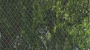 Ángela Bedolla es una de las miles de estudiantes deportistas que estean siendo afectados por la huelga de maestros.