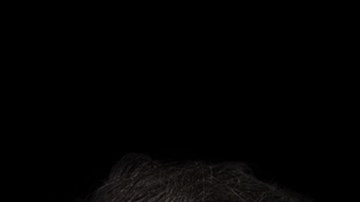 Serie "Jugar con fuego" / Foto: Telemundo