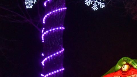 El Alameda Lantern Light Festival culmina este 20 de enero en Alameda.