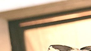 ¿Ya vieron su video más reciente, el que hizo con la intérprete argentina, Lali Espósito?