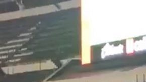 Los dos aficionados del León que se hicieron virales.