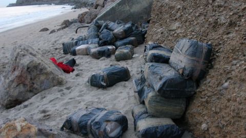 En México se han decomisado más de 15 mil libras de marihuana en 2020