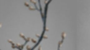 Mujer haciendo ejercicio.