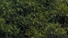 Maestros protestan afuera de la escuela Wilmington Middle School. (Jacqueline García)