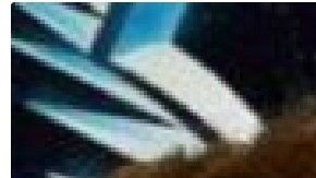 “Doña Lety”, "El Chapo" y "El Mencho".