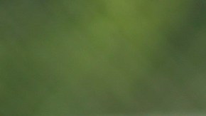 Pablos Larios fue el portero titular en el Mundial de México 86