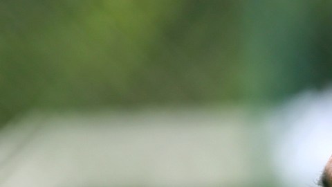 Pablos Larios fue el portero titular en el Mundial de México 86