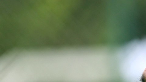 Reportan grave de salud al portero mexicano Pablo Larios - La Opinión