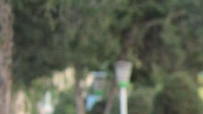 Pareja de personas de la tercera edad