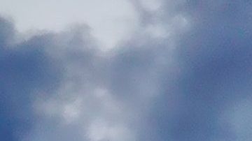 Un virus ha causado un infierno a bordo de un crucero.