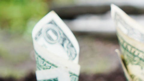 En 2019 podrías pagar menos impuestos