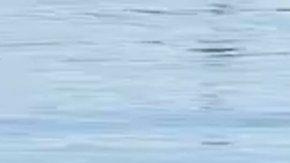 El hombre eventualmente salió por la ventana, se subió encima del vehículo mientras se hundía, y se quedó con él hasta que estaba completamente sumergido. Después, comenzó a nadar lejos. (@ABc7)