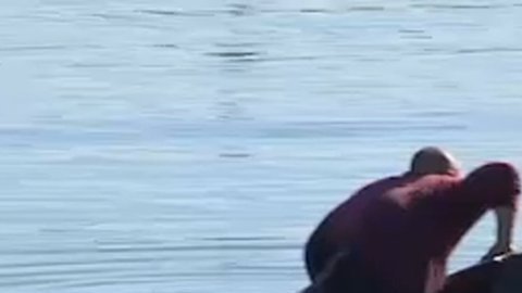 El hombre eventualmente salió por la ventana, se subió encima del vehículo mientras se hundía, y se quedó con él hasta que estaba completamente sumergido. Después, comenzó a nadar lejos. (@ABc7)