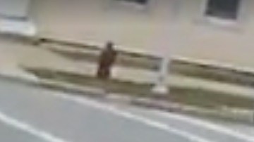 Un niño correr perdido y desatendido hasta que es rescatado.