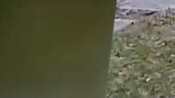 Dos niños devuelven una billetera con todo en su interior.