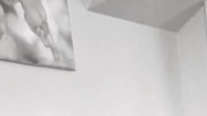 La moda del cat yoga en alza.