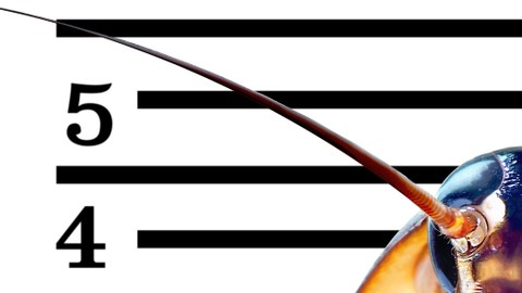Ponerle el nombre de tu ex a una cucaracha