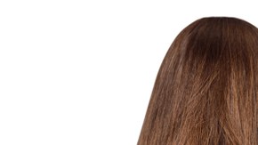 shutterstock_1212093736