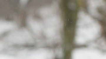 tips conducir en invierno