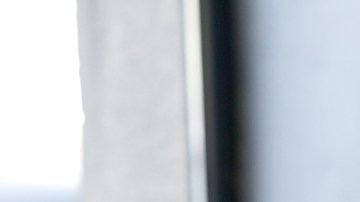 dietas mas buscadas en google